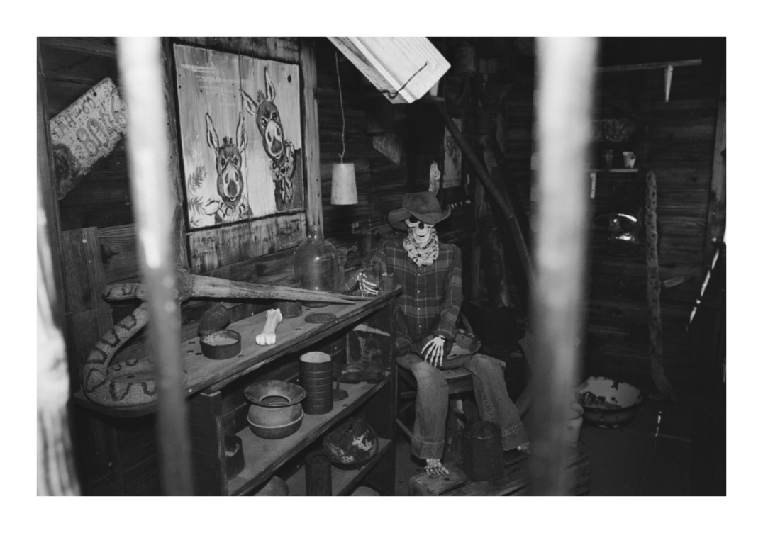 Main image Oatman Arizona Seven