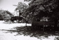 Mexican Hat Photo Master-print #1