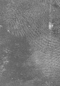 Abstract Film Over Exposure Photo Master-print
