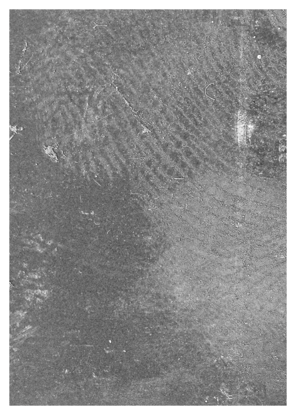 Main image Abstract Film Fingerprint Photo Master-print