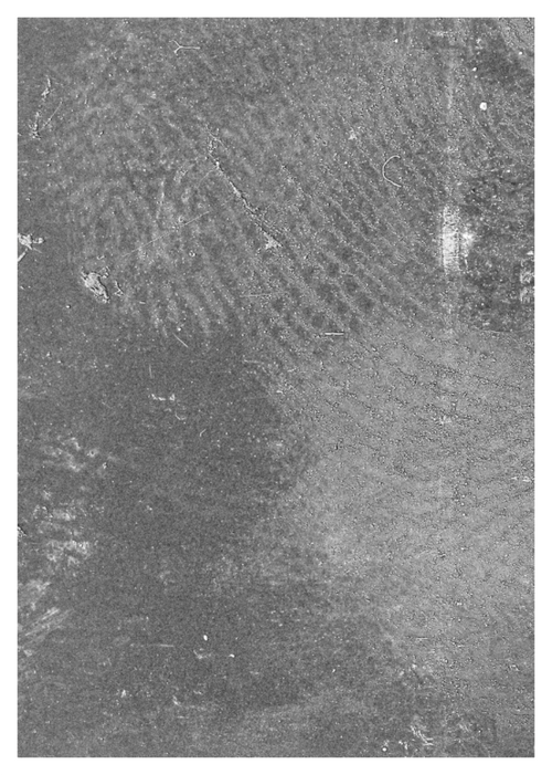 Main image Abstract Film Fingerprint Photo Master-print