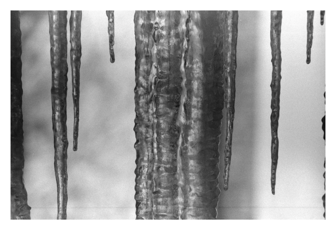 Main image Black Ice Four