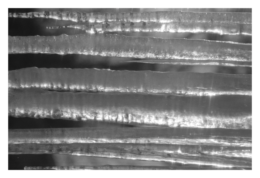 Main image Black Ice Six