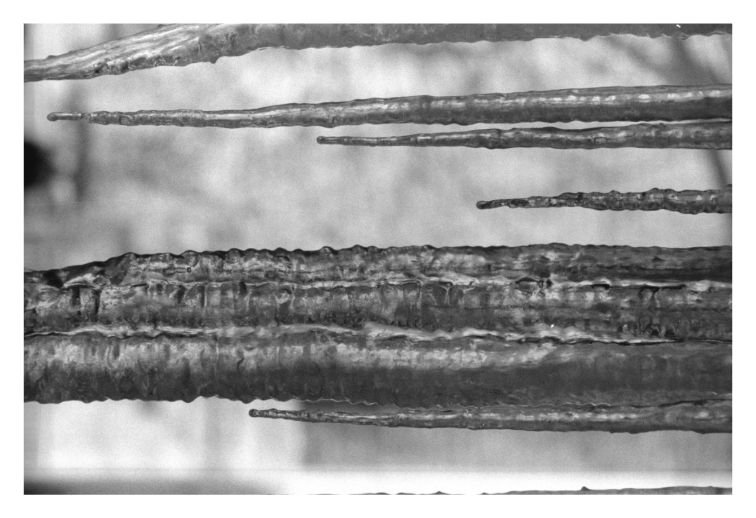 Main image Black Ice Three