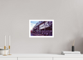 11.7 x 8″, Hahnemuhle Ultra-Smooth Paper Colorado Trains Photo Master-print #3