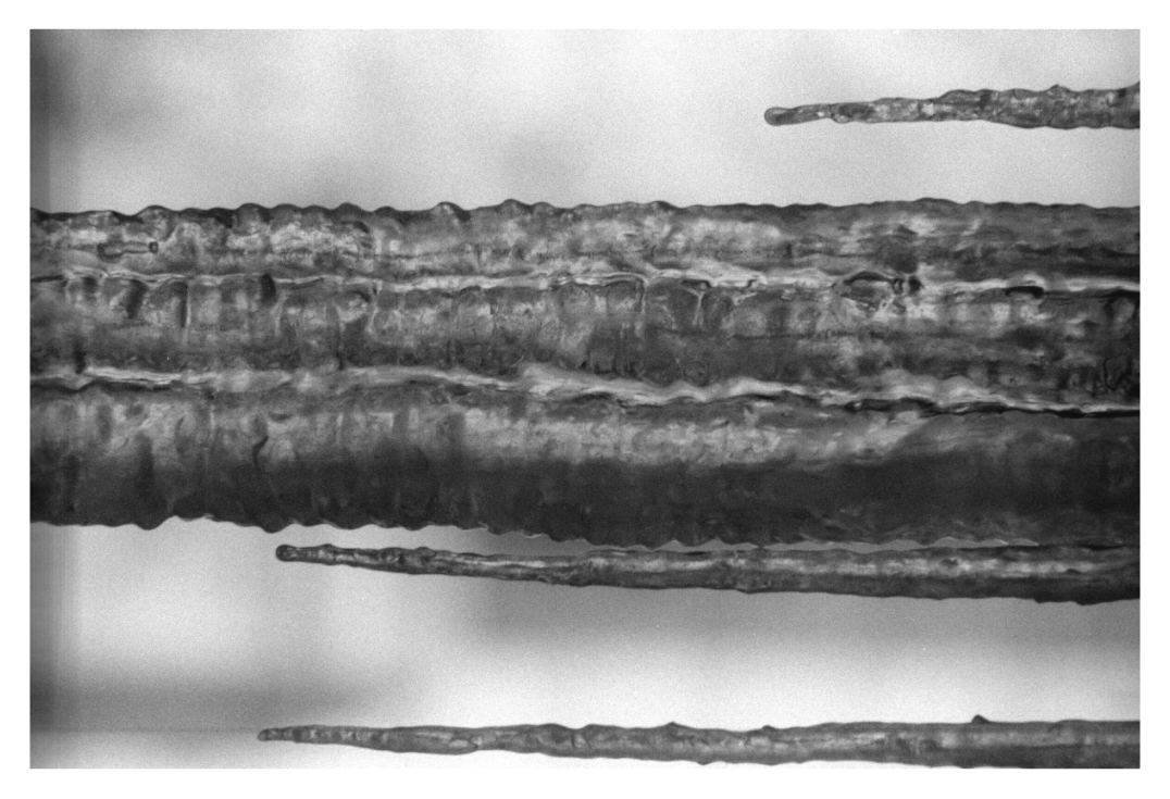 Main image Black Ice One