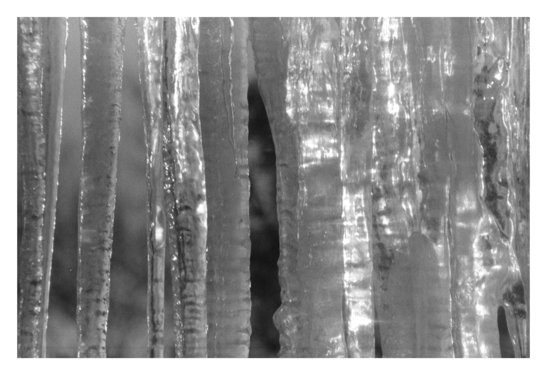 Main image Black Ice Seven