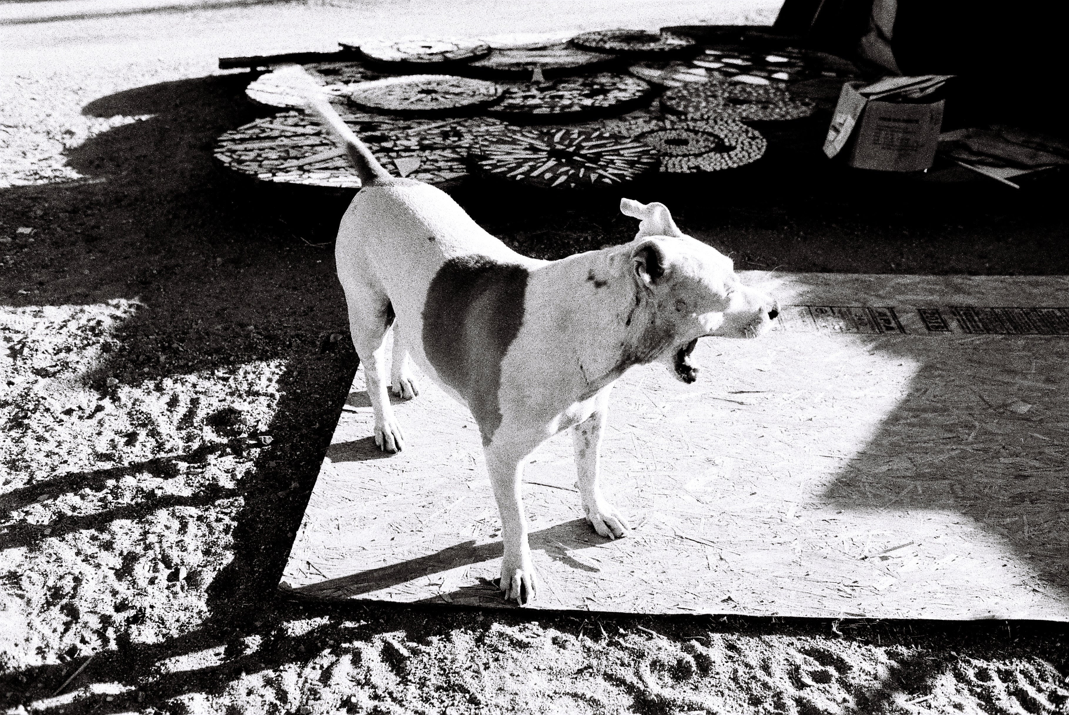 Slab City Photo Masterprint #1