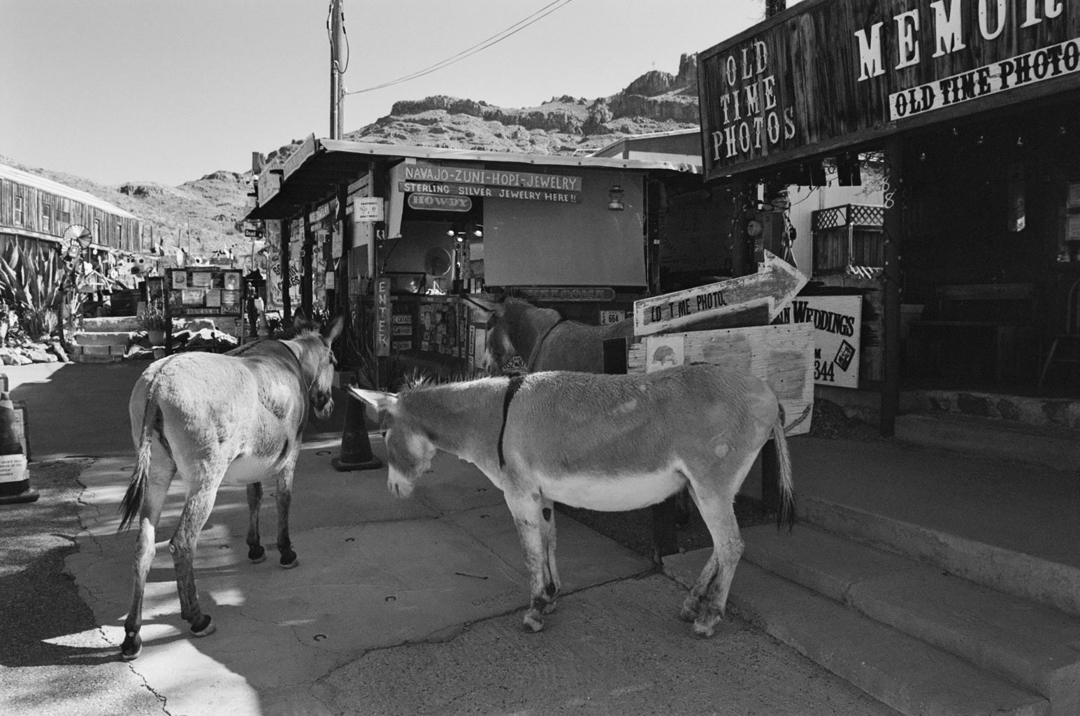 Oatman Arizona Photo Master-print #4