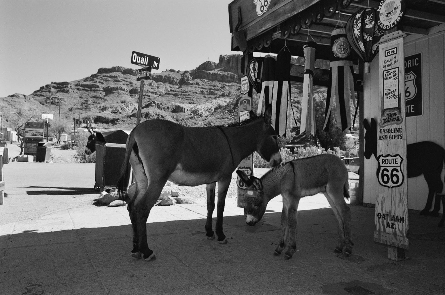 Oatman Arizona Photo Master-print #5