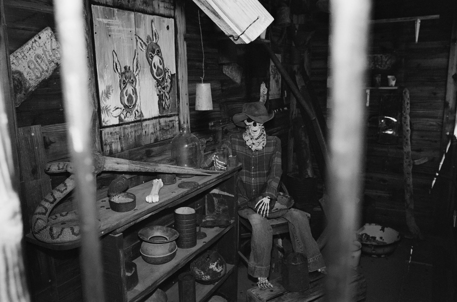 Oatman Arizona Photo Master-print #7