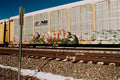 Arizona Trains Photo Master-print #4