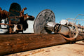 Arizona Trains Photo Master-print #7