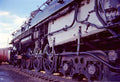 Colorado Trains Photo Master-print #3