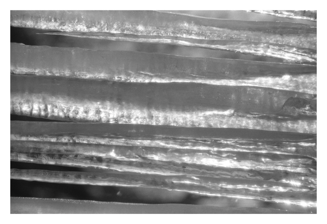 Main image Black Ice Five