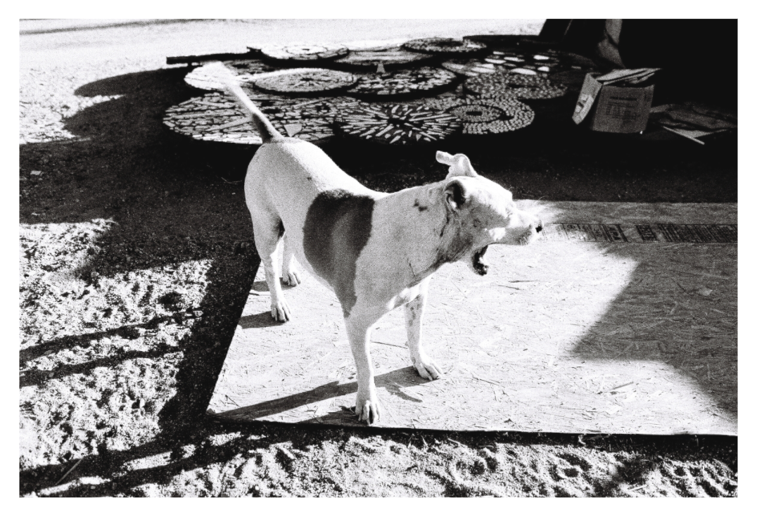 Main image Slab City One