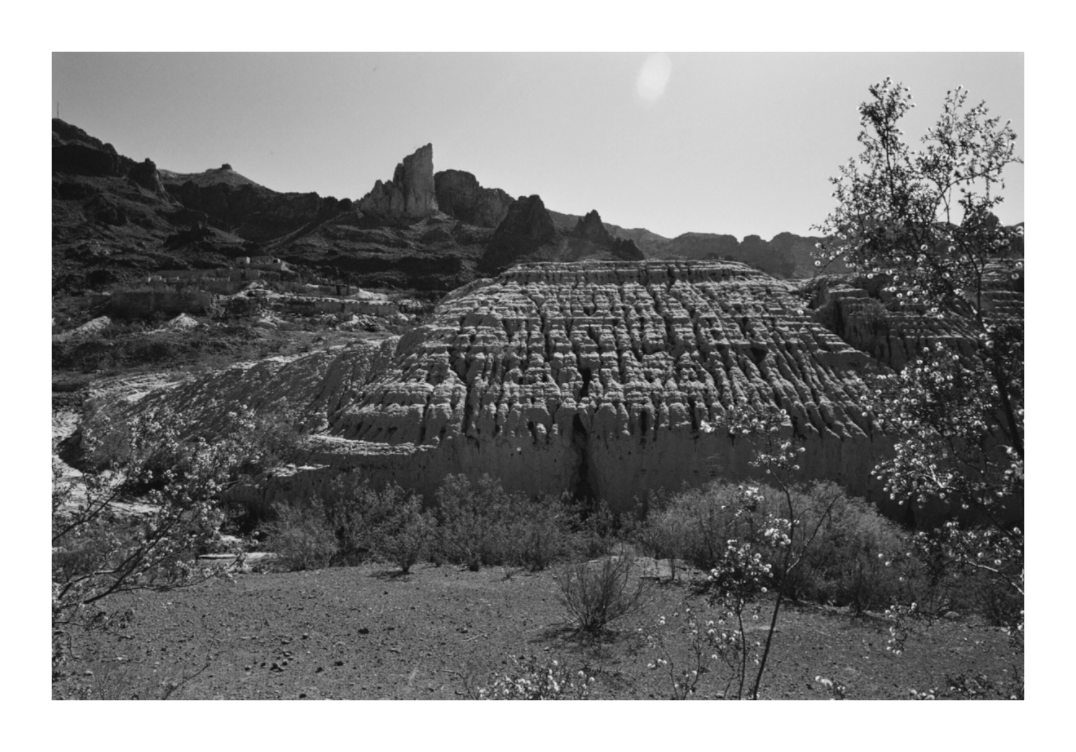 Main image Oatman Arizona Two