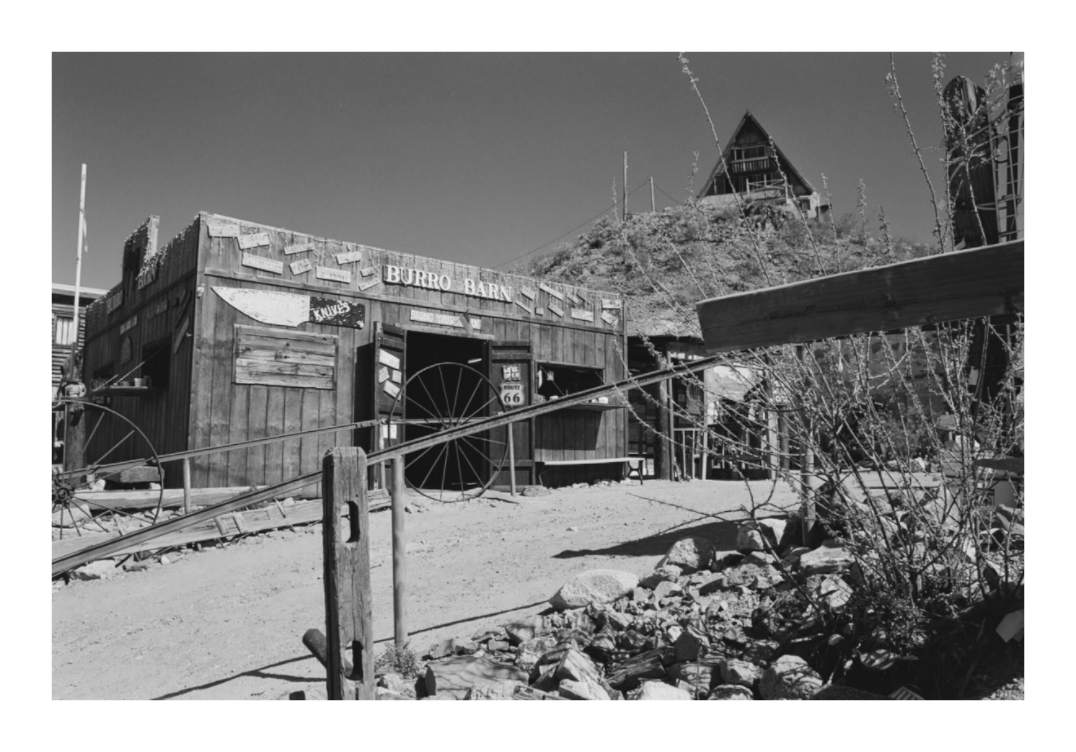 Main image Oatman Arizona Six